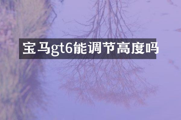宝马gt6能调节高度吗