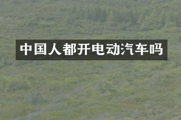 中国人都开电动汽车吗