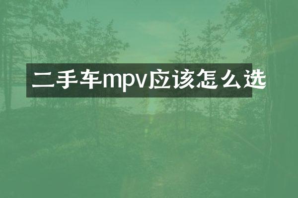 二手车mpv应该怎么选