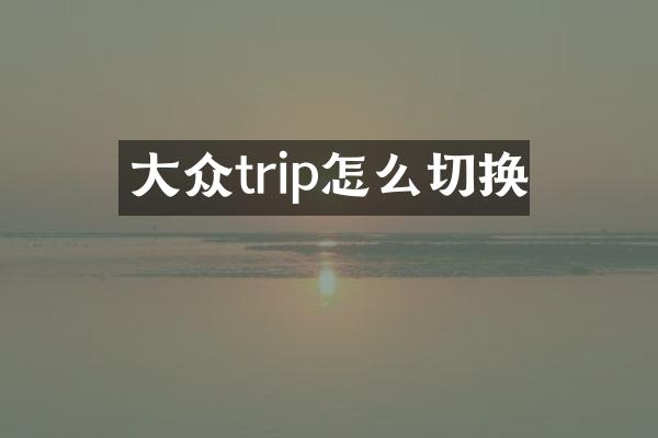 大众trip怎么切换