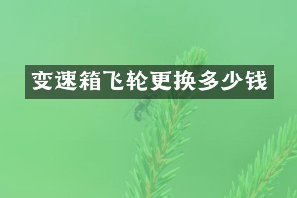 变速箱飞轮更换多少钱