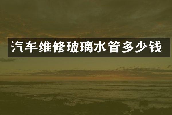 汽车维修玻璃水管多少钱