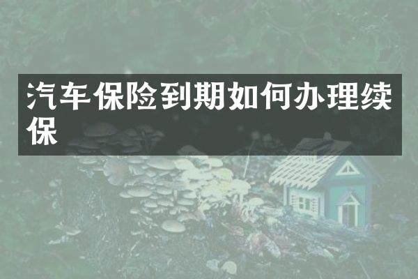 汽车保险到期如何办理续保