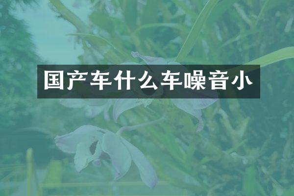 国产车什么车噪音小