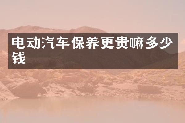 电动汽车保养更贵嘛多少钱