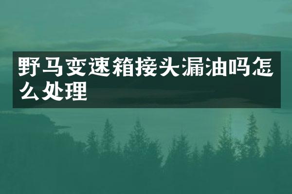 野马变速箱接头漏油吗怎么处理