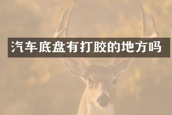 汽车底盘有打胶的地方吗