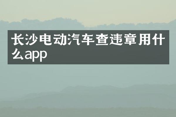 长沙电动汽车查违章用什么app