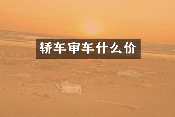 轿车审车什么价