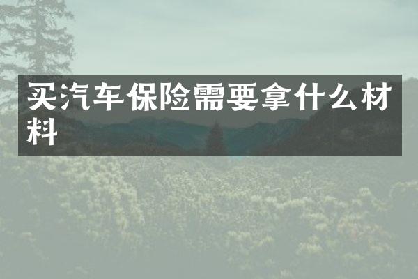 买汽车保险需要拿什么材料