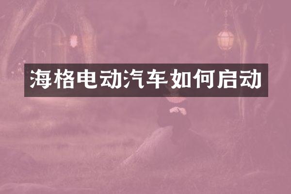 海格电动汽车如何启动