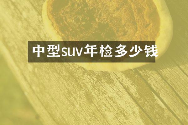 中型suv年检多少钱