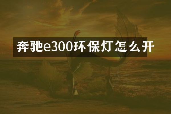 奔驰e300环保灯怎么开