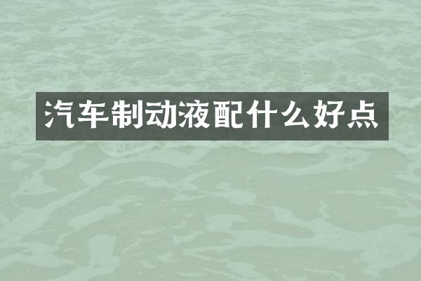 汽车制动液好点