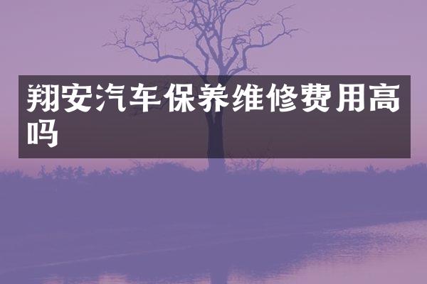 翔安汽车保养维修费用高吗