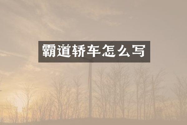 霸道轿车怎么写