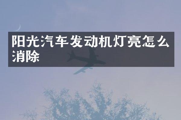 阳光汽车发动机灯亮怎么消除