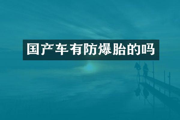 国产车有防爆胎的吗
