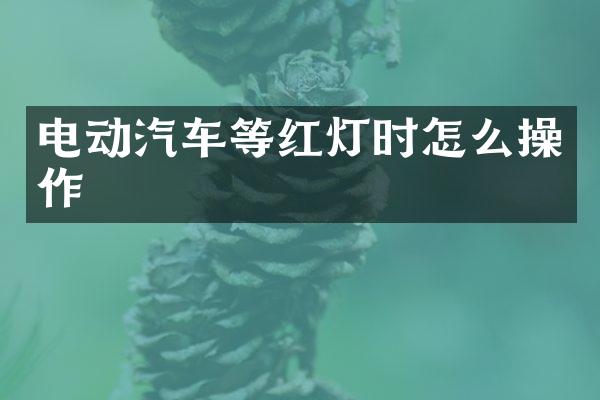 电动汽车等红灯时怎么操作