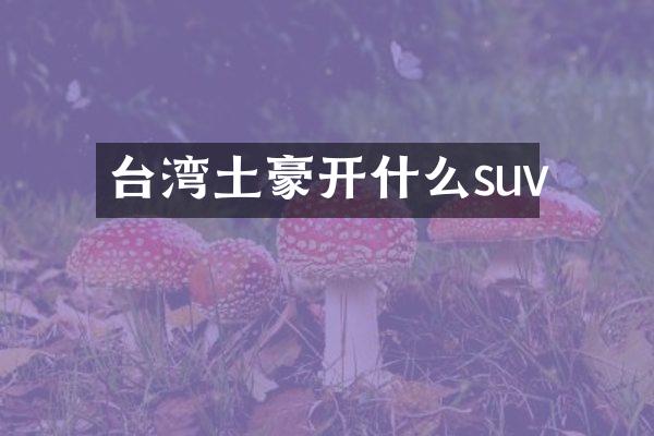 台湾土豪开什么suv