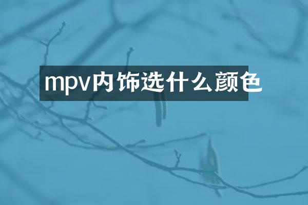 mpv内饰选什么颜色