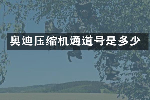 奥迪压缩机通道号是多少