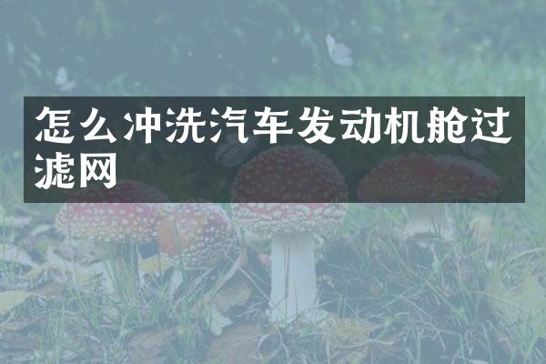 怎么冲洗汽车发动机舱过滤网