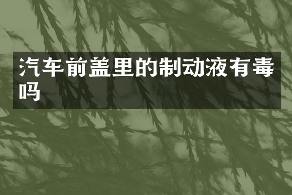 汽车前盖里的制动液有毒吗