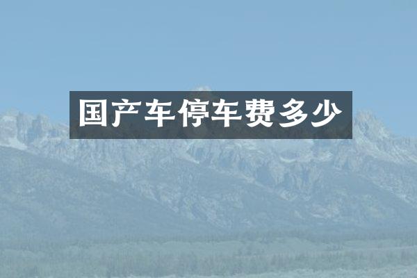 国产车停车费多少