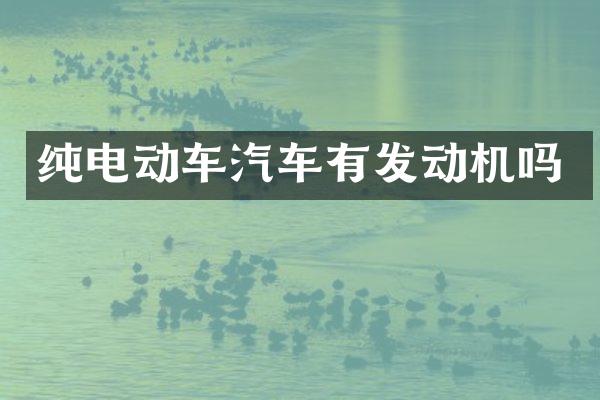 纯电动车汽车有发动机吗
