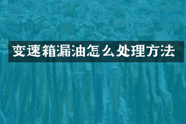 变速箱漏油怎么处理方法