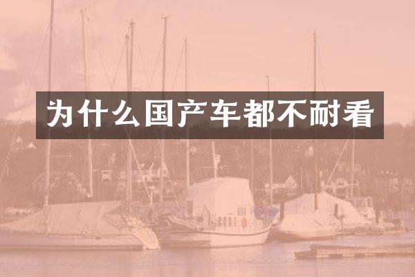 为什么国产车都不耐看