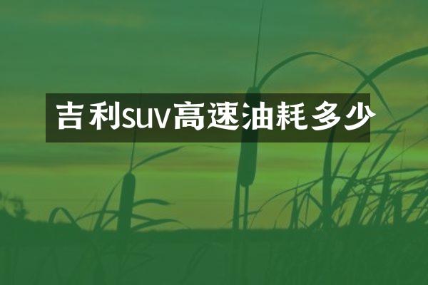 吉利suv高速油耗多少