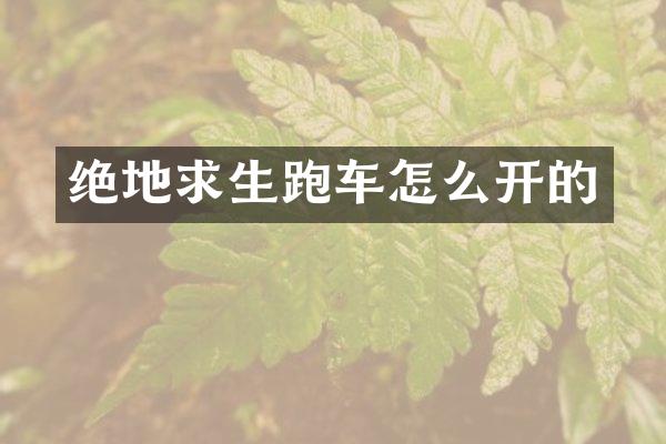 绝地求生跑车怎么开的
