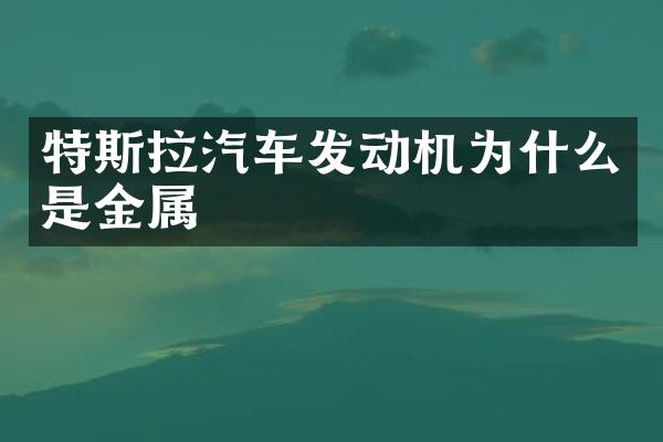 特斯拉汽车发动机为什么是金属