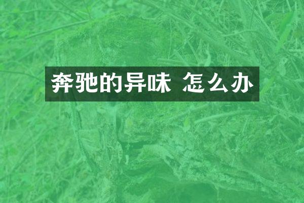 奔驰的异味 怎么办