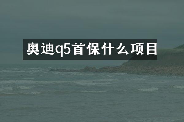 奥迪q5首保什么项目