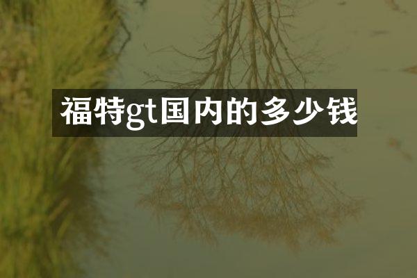 福特gt国内的多少钱