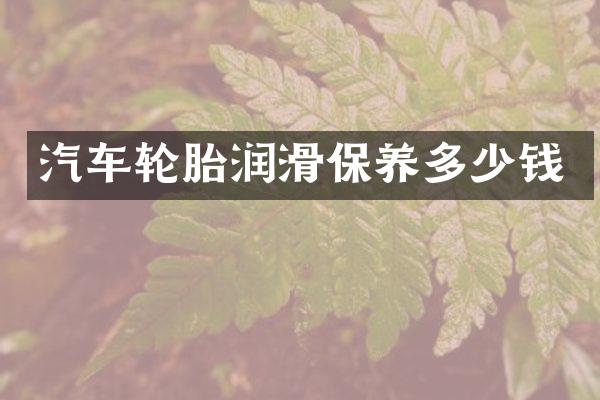 汽车轮胎润滑保养多少钱