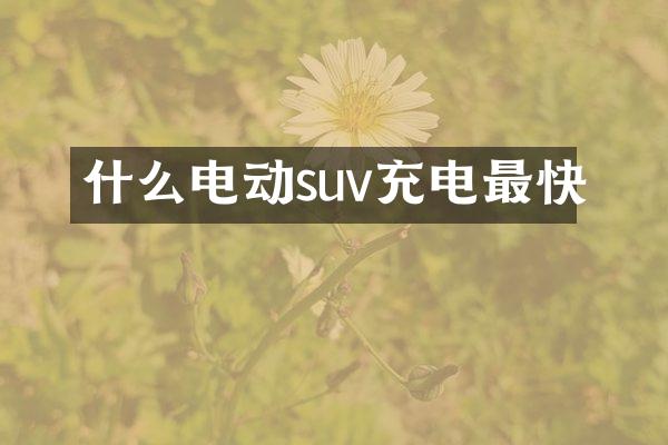 什么电动suv充电最快