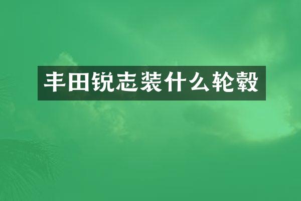 丰田锐志装什么轮毂