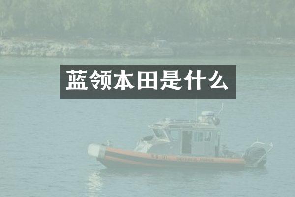 蓝领本田是什么