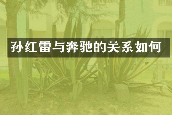 孙红雷与奔驰的关系如何