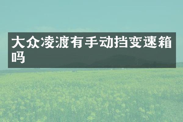 大众凌渡有手动挡变速箱吗