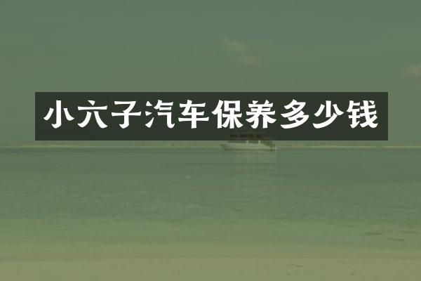 小六子汽车保养多少钱