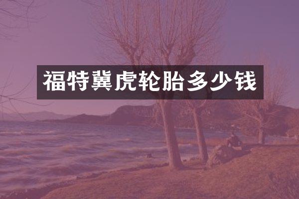 福特冀虎轮胎多少钱