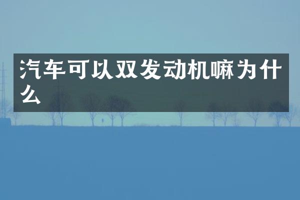 汽车可以双发动机嘛为什么
