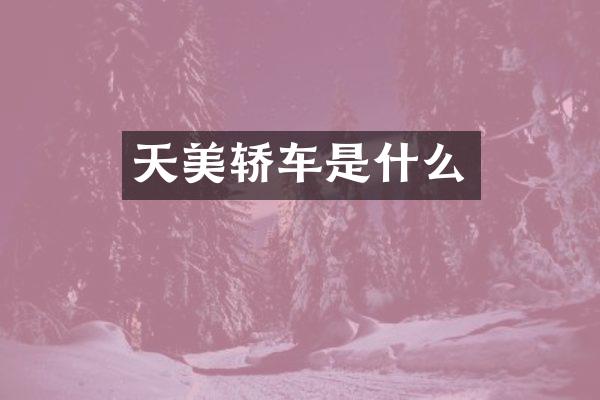 天美轿车是什么