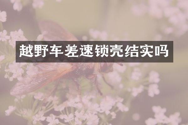 越野车差速锁壳结实吗