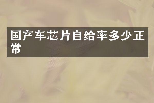 国产车芯片自给率多少正常